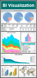 BI Visualization Gallery
