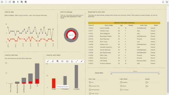 Insurance Claim Denials Dashboard Example