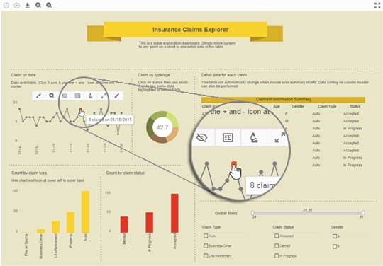 insurance dashboard example