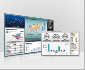 Executive Dashboard