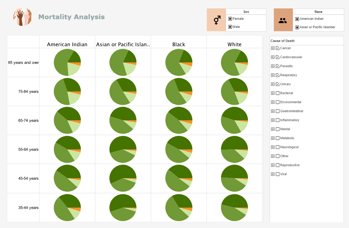 an example of a visual data analysis for the medical profession