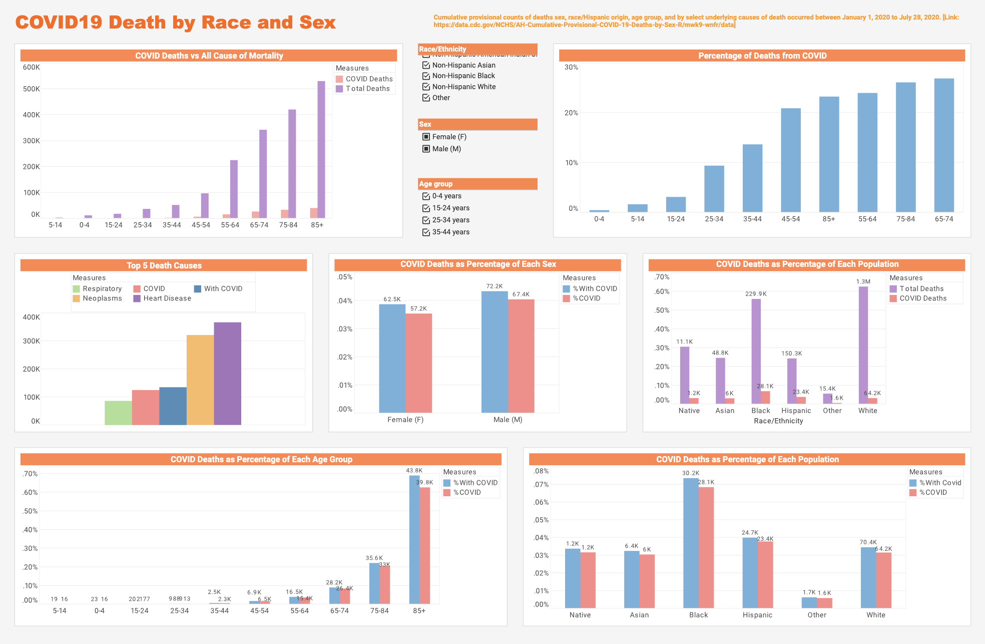 Patient Mortality Factors Dashboard Example