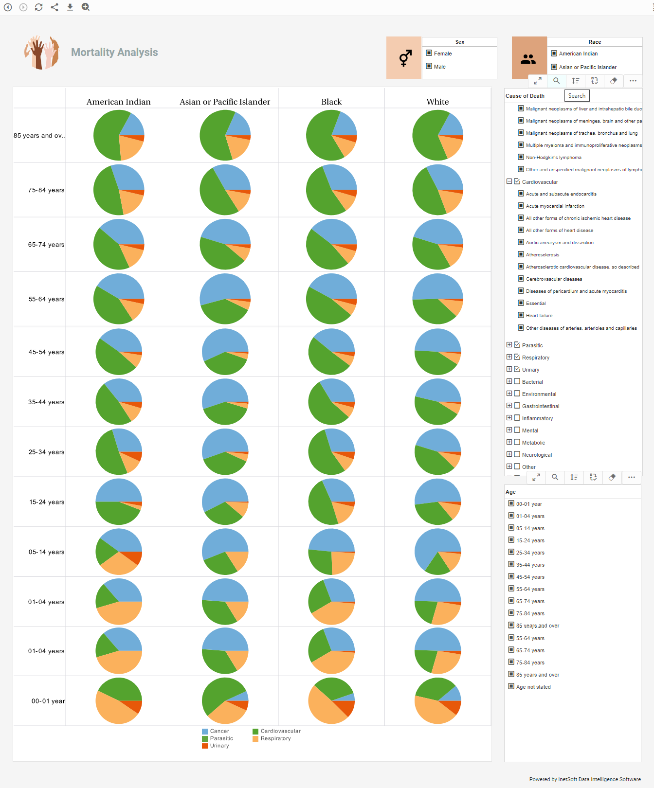 BI web solution example for the medical field