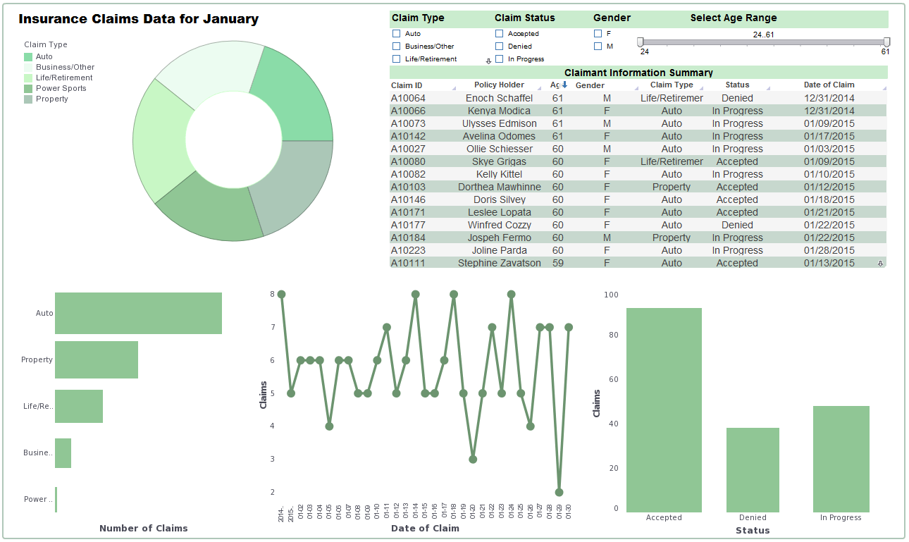 Insurance Visualization