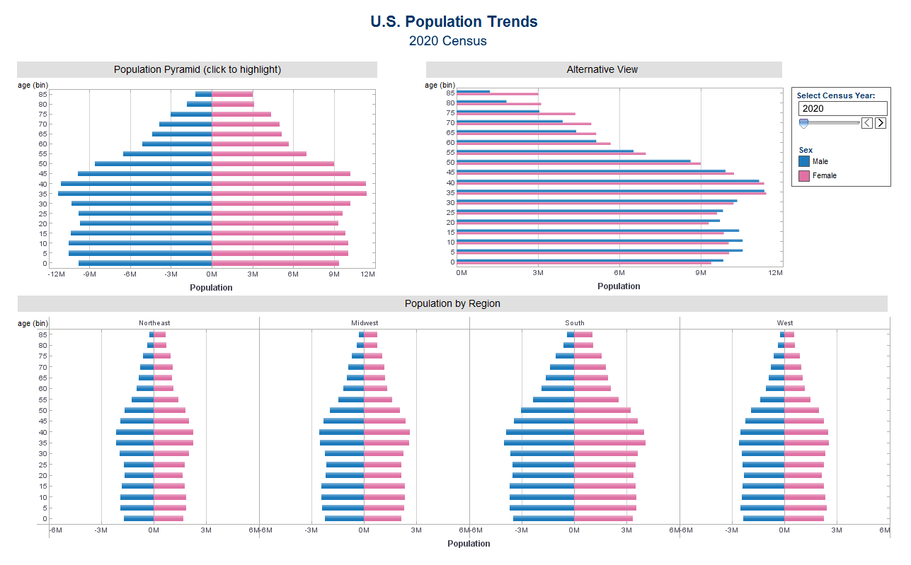 BI web solution example for the demographics