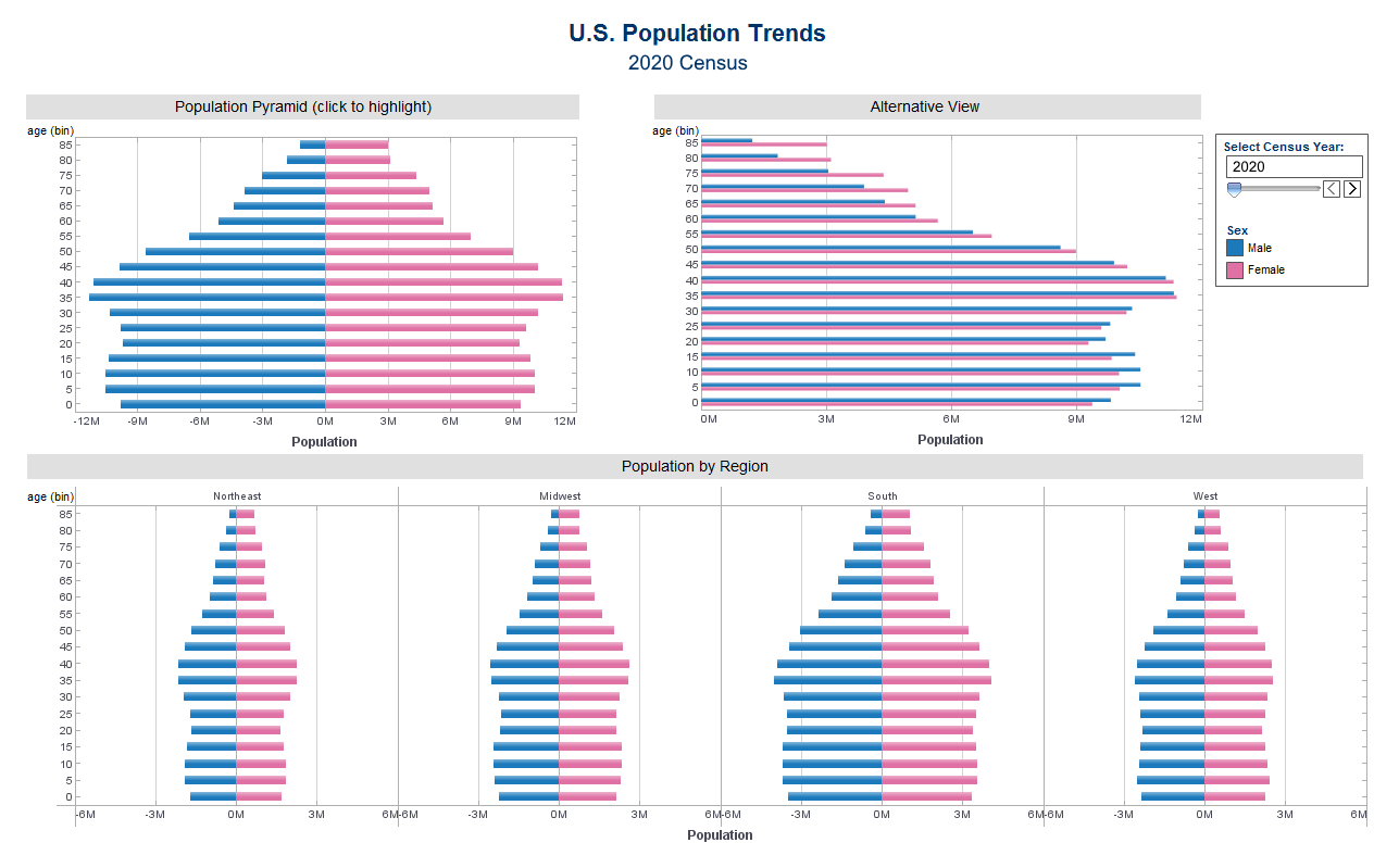 simple reporting tool example for demographics