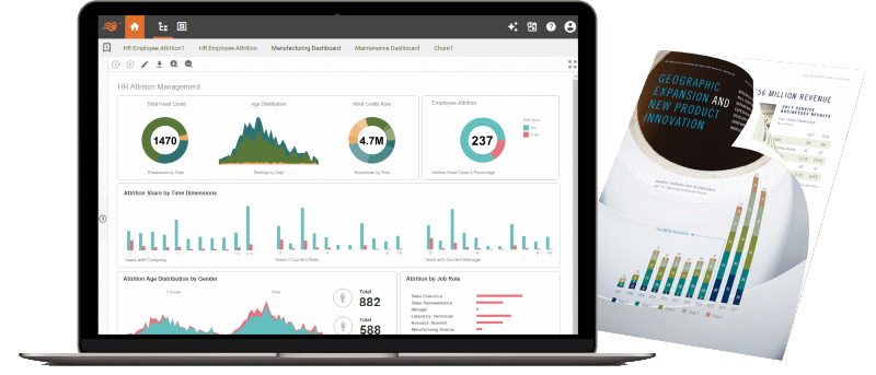 visual analytics plus reporting