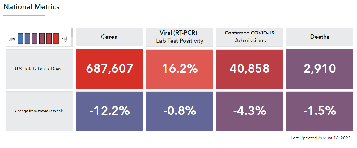 HHS Cases BI Example