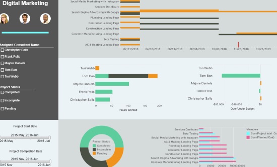 asana dashboard software