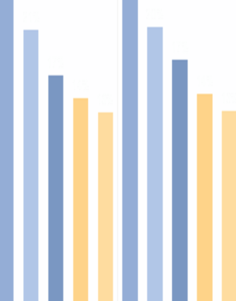 bi software chart