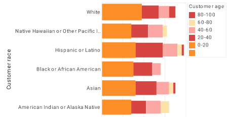 customer age demographics chart