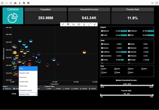 demographic chart customization example