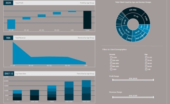 financiel client report screenshot