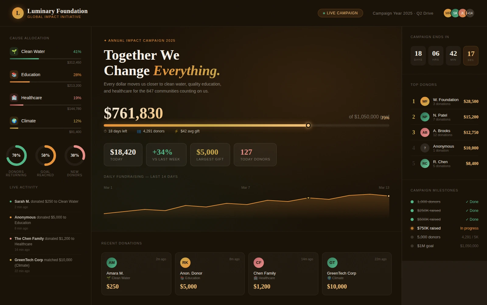 Charitable Fundraising Dashboard Example