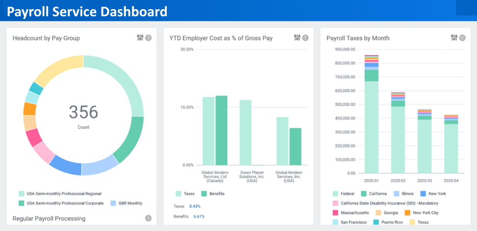Payroll Service Dashboard Example