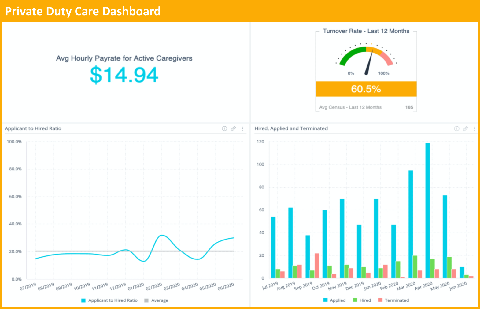 Private Duty Care Dashboard Example