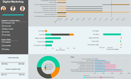 BI project status report screenshot